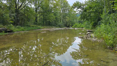 6847 Brushy Fork Road, Madison - 16