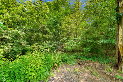 2690 County Road 800, Clayton - 44