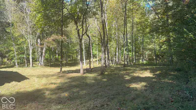 537 Pea Ridge Road, Spencer - 8