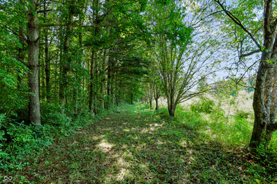 3205 Belle Arbres Lane, Westfield - 12