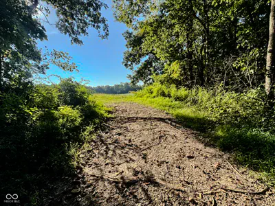 0 600, Scipio - 10