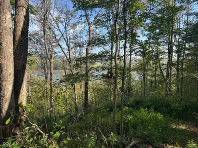 15839 State Road 156, Patriot - 17