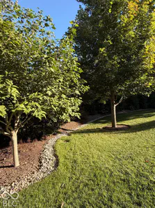 6658 English Oak Drive, Avon - 49