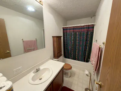 136 Carthage Road, Charlottesville - 30