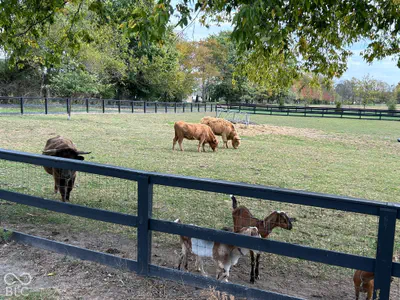 5101 N County Road 500 E, Pittsboro - 31