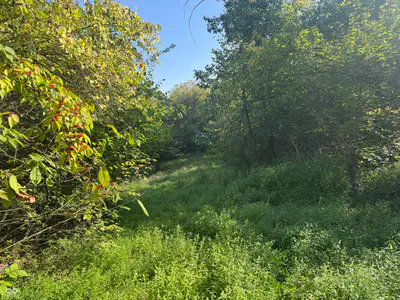15839 State Road 156, Patriot - 4