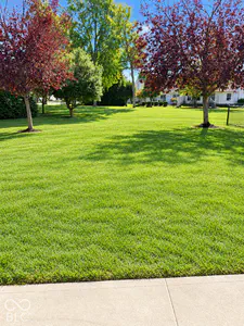 7333 Summer Lea Court, Indianapolis - 31