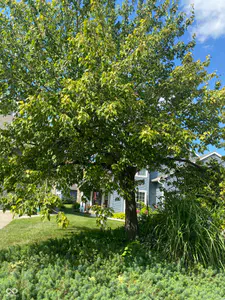 6441 Bayside South Drive, Indianapolis - 29