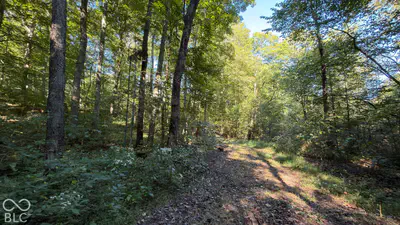 0 Michaels Road, Bloomfield - 19