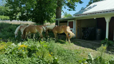 2633 Smoky Row, Carmel - 62