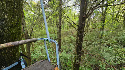 6847 Brushy Fork Road, Madison - 26