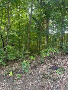 00 State Road 252 Road, Franklin - 3