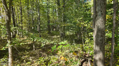 3255 Lemon Road, Madison - 16