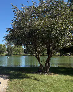 75 Fountain Lake Drive, Greenfield - 7