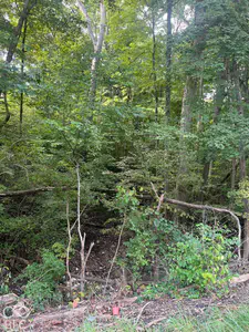 00 State Road 252 Road, Franklin - 2