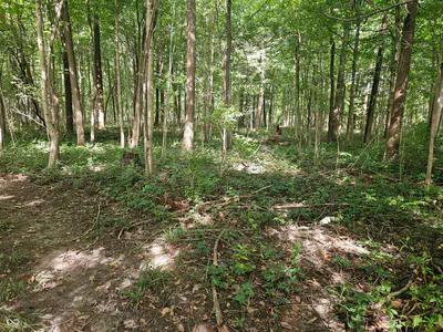 4078 E St. Rd. 28 Road, Tipton - 4