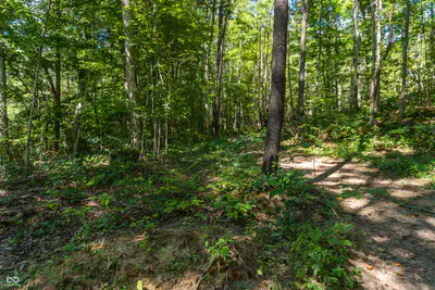0 Pumpkinvine Hill Road, Martinsville - 5