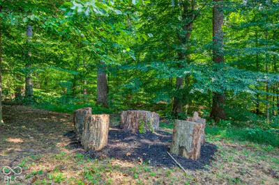 5600 Treeline Drive, Columbus - 50
