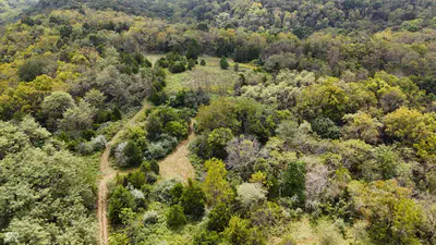6847 Brushy Fork Road, Madison - 42
