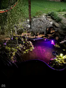 353 Broken Arrow Circle, Indianapolis - 35