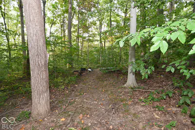 454 County Road 550, Cloverdale - 31
