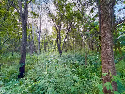 1732 250 West Road, Albion - 25
