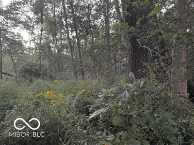 Lot #2 100, Perrysville - 11