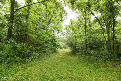 0 Old Nashville Road, Columbus - 4