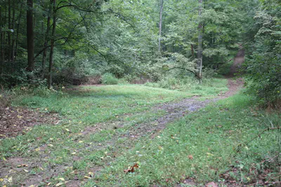 3490 Marlett Road, Nashville - 23