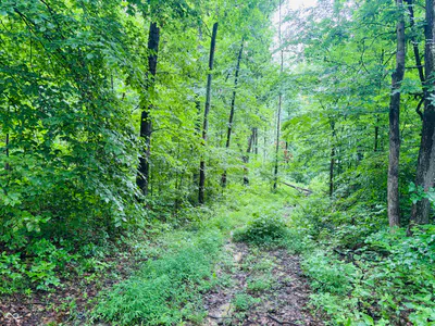 0 Laurel Road, Laurel - 14