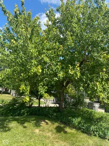6441 Bayside South Drive, Indianapolis - 28