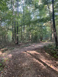 Tract 8 Sunnyside Road, Deputy - 2