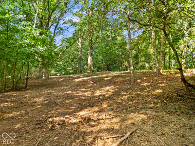 0 McCarthy Knob Road, Lanesville - 16