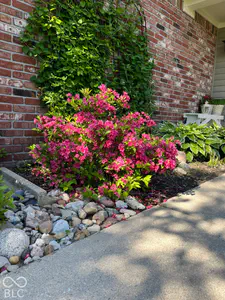 11015 Rutgers Lane, Fishers - 40