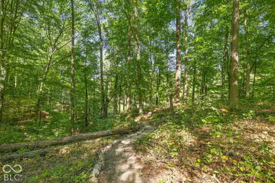 4078 Rembrandt Drive, Martinsville - 41