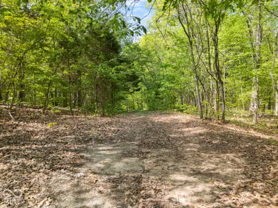 0 Co Rd 675, French Lick - 3