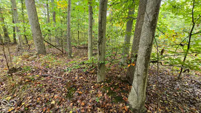 3949 E Thornton Road, Madison - 14
