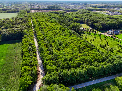 3555 Belle Arbres Lane, Westfield - 4