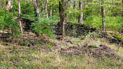 6847 Brushy Fork Road, Madison - 37