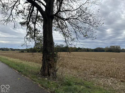 00 Marietta Drive, Shelbyville - 2