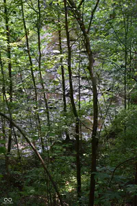 0 Sichting Road, Martinsville - 23