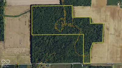 3949 E Thornton Road, Madison - 33