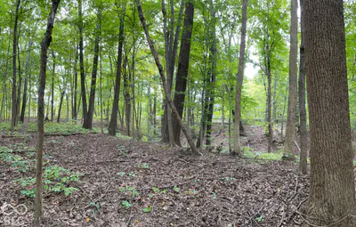 778 W Gasburg Lane, Mooresville - 68