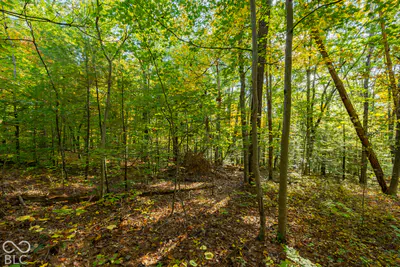 113 Hickory Knob Road, Nashville - 23