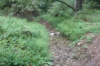 3490 Marlett Road, Nashville - 25