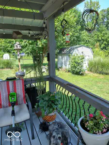 5406 Pommel Court, Indianapolis - 47