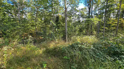 4332 State Road 135, Freetown - 13