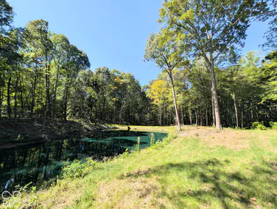 4590 Turkey Track Road, Martinsville - 19