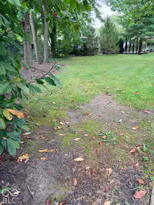 5203 Northwood Drive, Columbus - 7