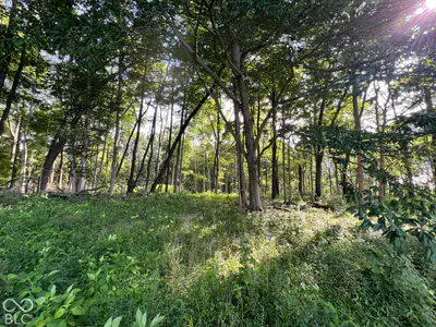 15040 Lindsey, Milton - 44